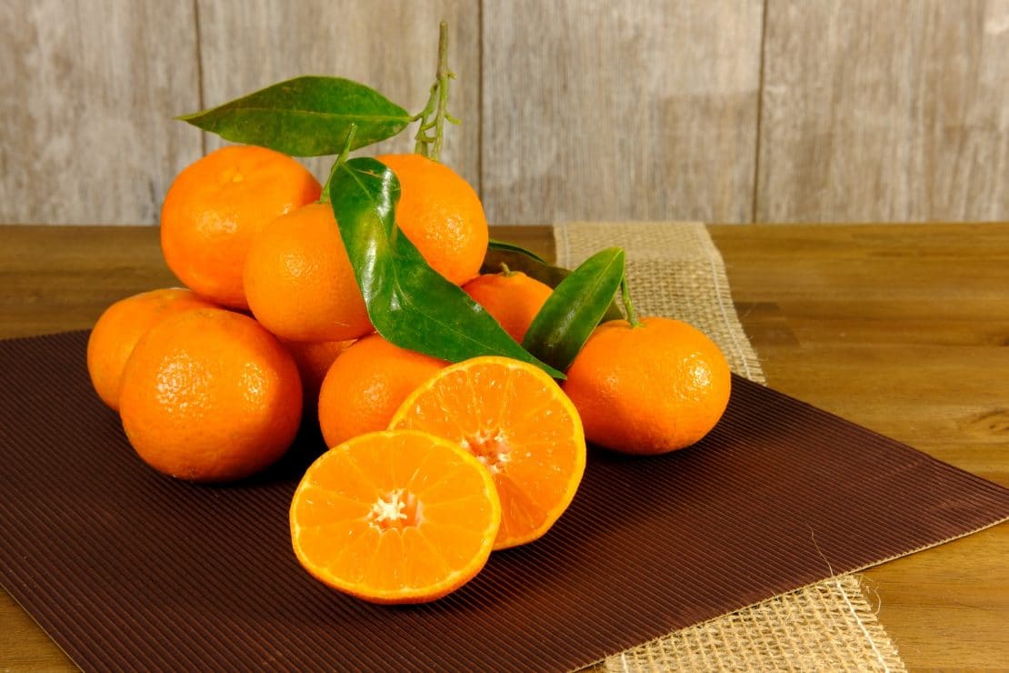 can-dogs-eat-tangerines-uk-dog-blog-product-guides-and-expert-articles