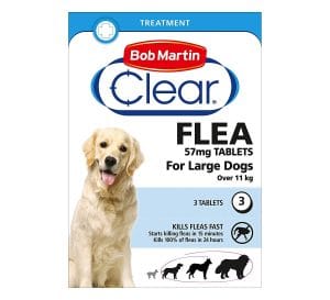 most effective flea treatment
