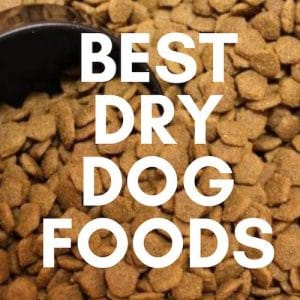 Best & Healthiest Dry Dog Food UK 2023 - Recommended by Vets