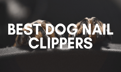 best dog nail clippers uk