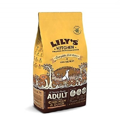 The Best Dry Dog Foods UK in 2021 