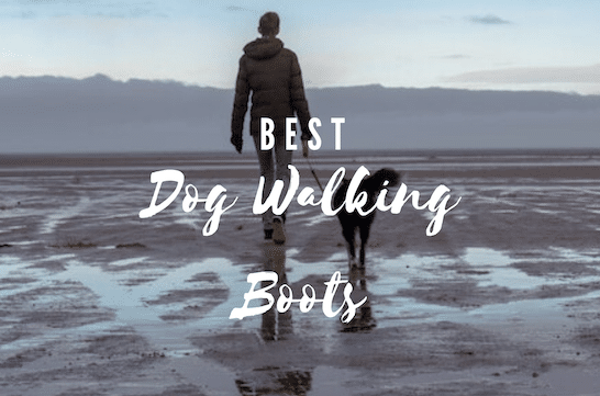 mens dog walking boots