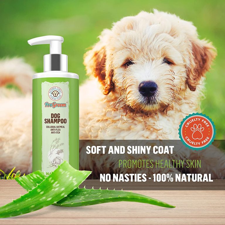 best-dog-shampoo-to-buy-in-uk-how-to-choose-one-2023